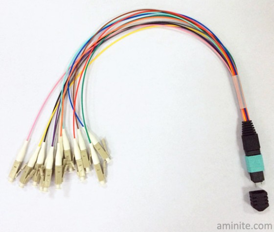 MPO Hydra Cable Assemblies