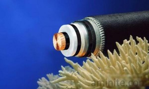 the-sea-optical-cable