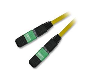 MTP_MPO-fibra-ottica-Patch-Cable